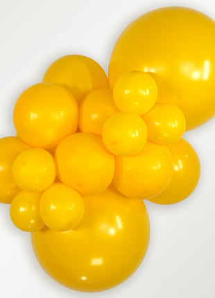 Sempertex Link-O-Loon Deluxe de 6 pulgadas, amarillo miel, 50 unidades