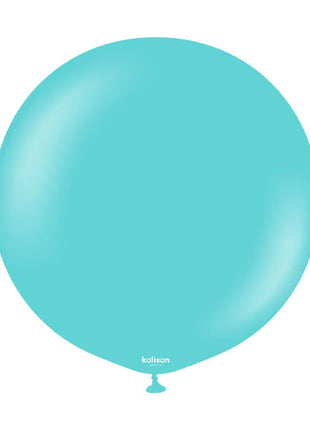 24in Kalisan Standard Aqua 2ct