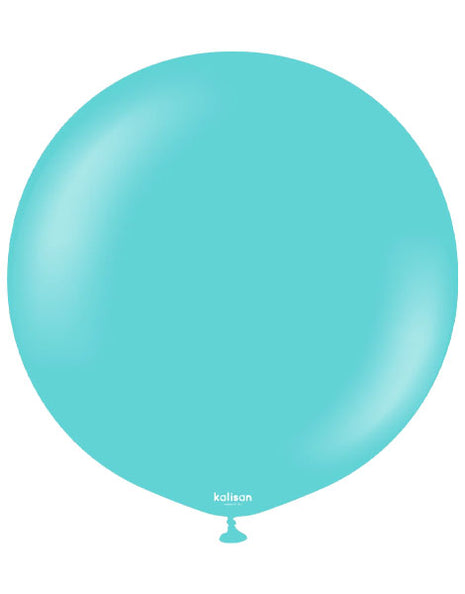 24in Kalisan Standard Aqua 2ct