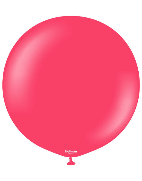 24in Kalisan Standard Magenta Pink 2ct