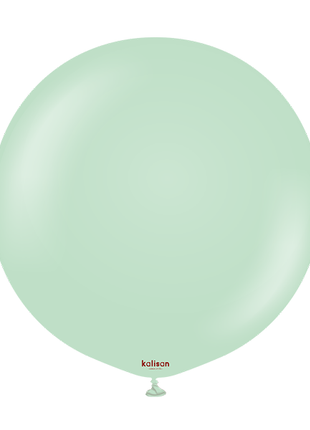 24in Kalisan Macaron Green 2Ct - Joker Party Supply