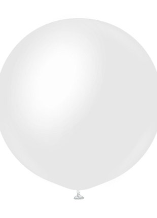 Tinte opaco Kalisan de 24 pulgadas, blanco nieve, 2 unidades
