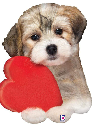 29in Betallic Adorable Puppy Love Balloon - Joker Party Supply