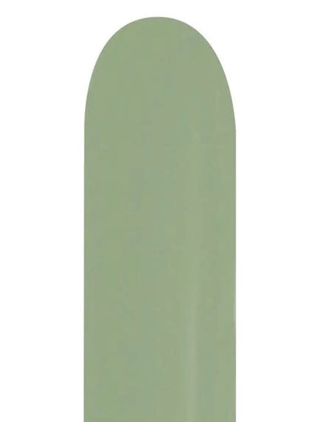 260 Sempertex Deluxe Eucalyptus 50ct - Joker Party Supply