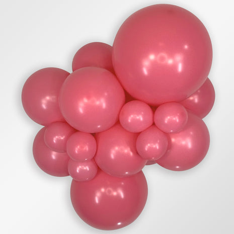 11in Sempertex Deluxe Rose 100ct