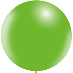 Collection image for: Látex de 24 pulgadas