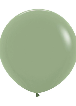 24in Sempertex Deluxe Eucalyptus 10ct - Joker Party Supply