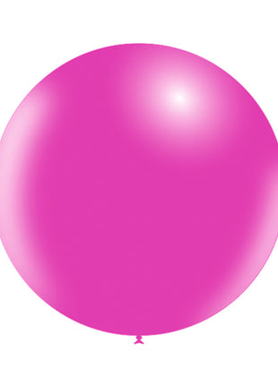 24in Balloonia Fuchsia 5ct