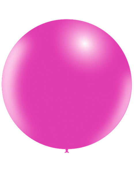 24in Balloonia Fuchsia 5ct