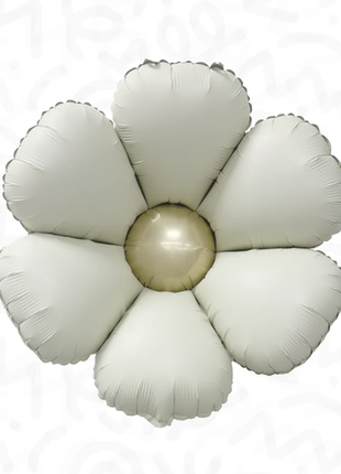 24in DecoChamp Latte Daisy Balloons 2ct - Joker Party Supply