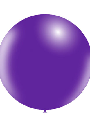 24in Balloonia Purple 5ct